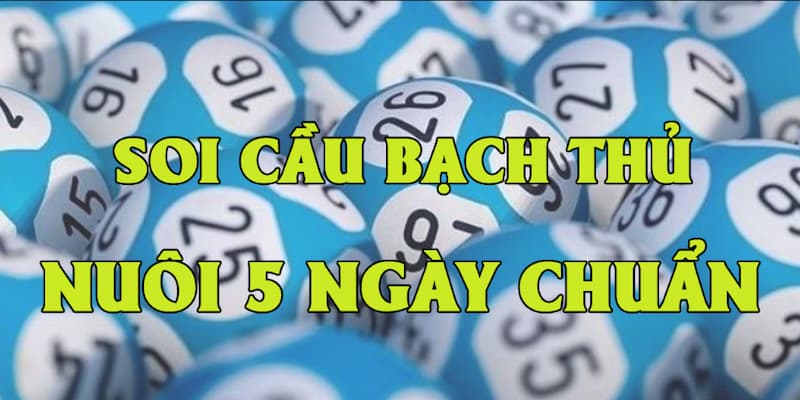 Soi Cầu Lô Khung Mẹo chơi Soi Cầu Lô Khung hiệu quả từ cao thủ Rikvip
