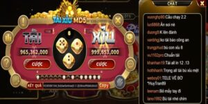 Tài Xỉu MD5